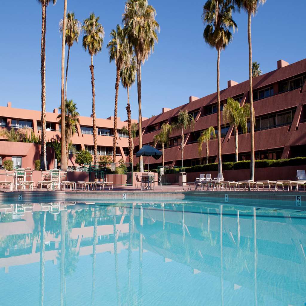马奎斯别墅度假酒店 棕榈泉 设施 照片
